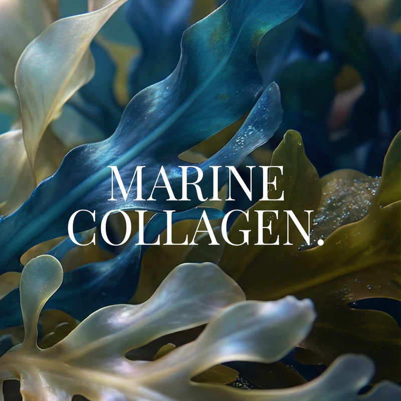 Marine Collagen