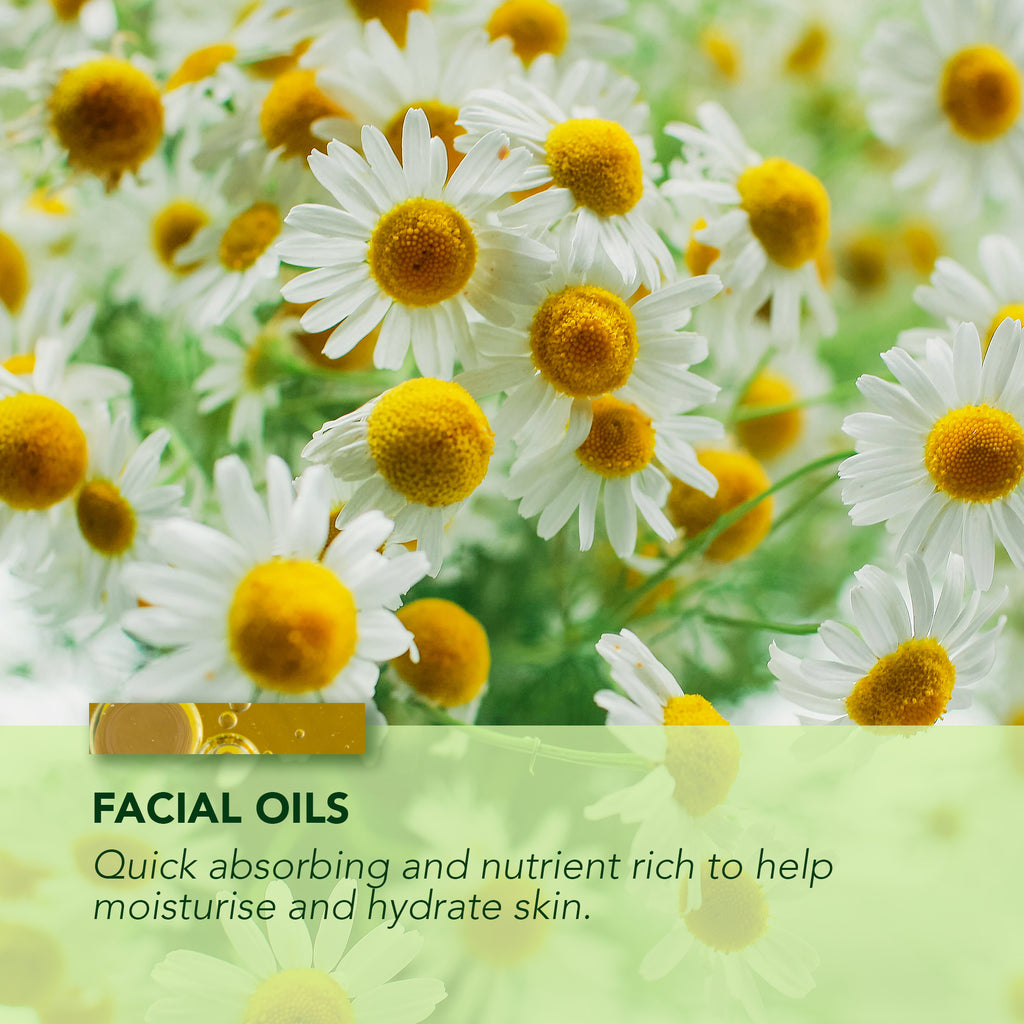 Rose & Macadamia Facial Oil