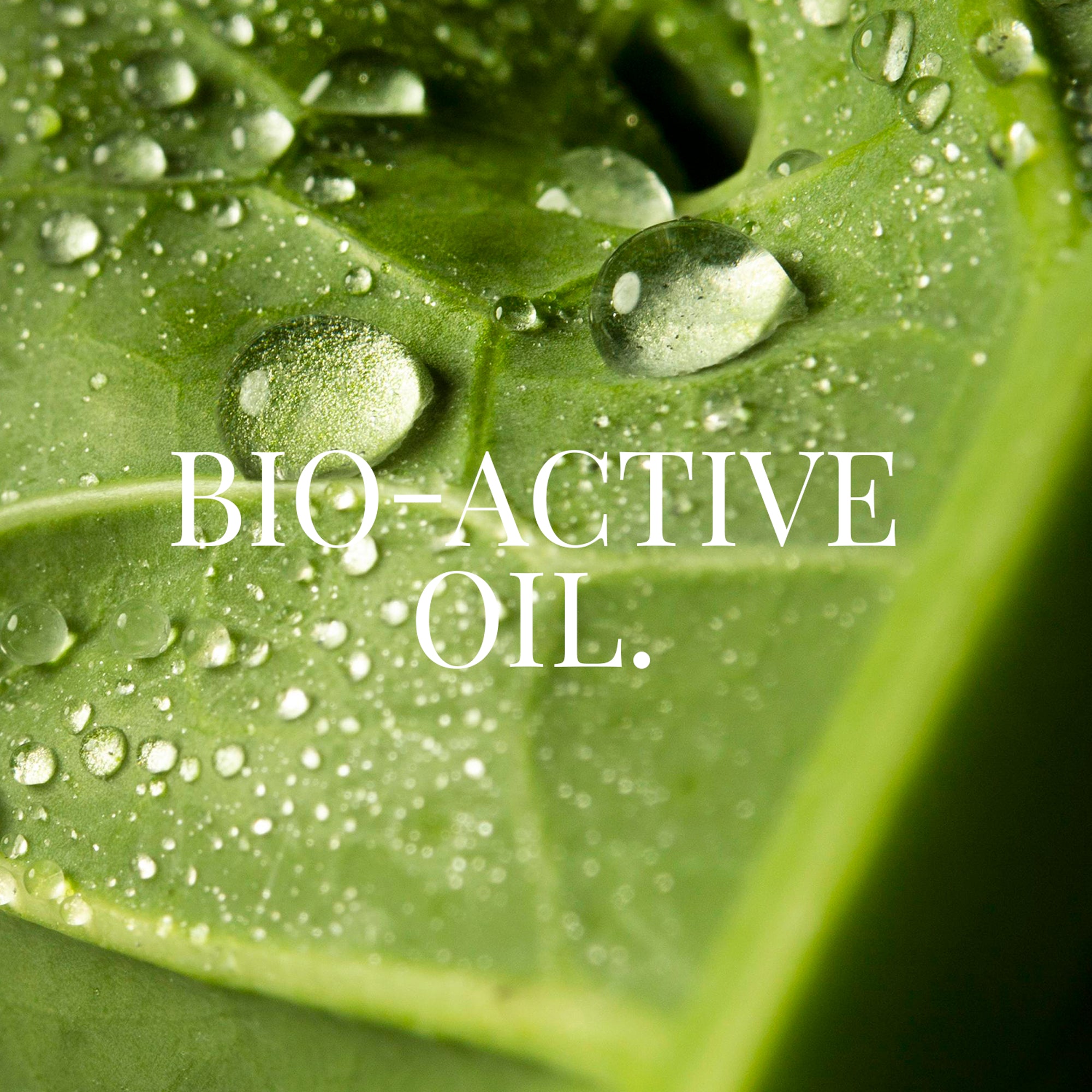 Bio-Active Oil 50mL
